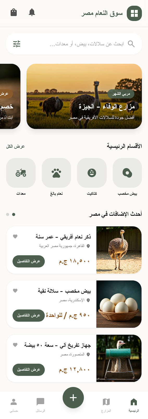 الشاشة الرئيسية - سوق النعام 3
