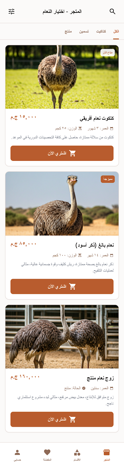 المتجر - اختيار النعام