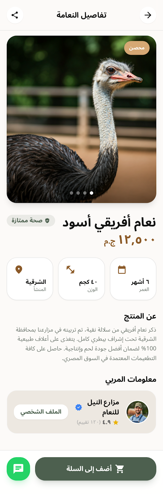 تفاصيل المنتج - النعامة 2