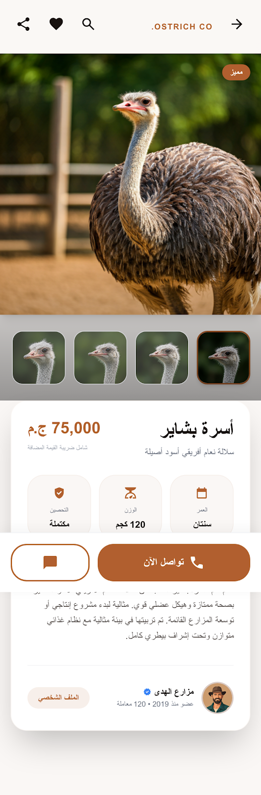 تفاصيل المنتج - عرض سطح المكتب الكامل