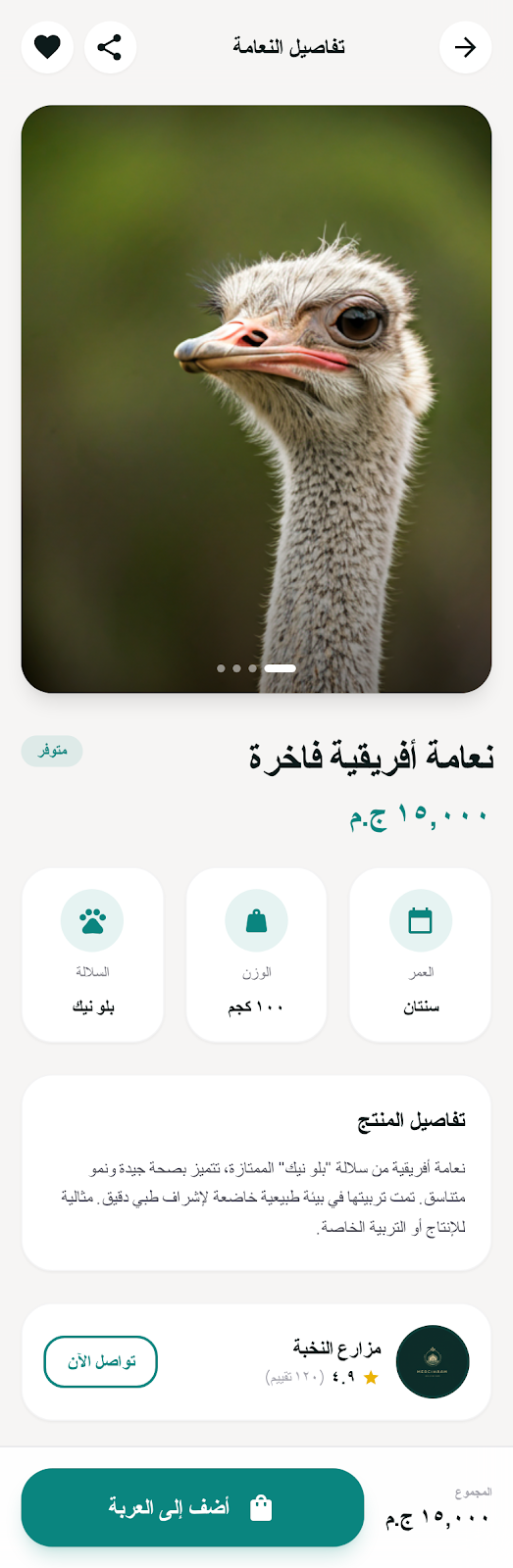 تفاصيل النعامة - نسخة الموبايل