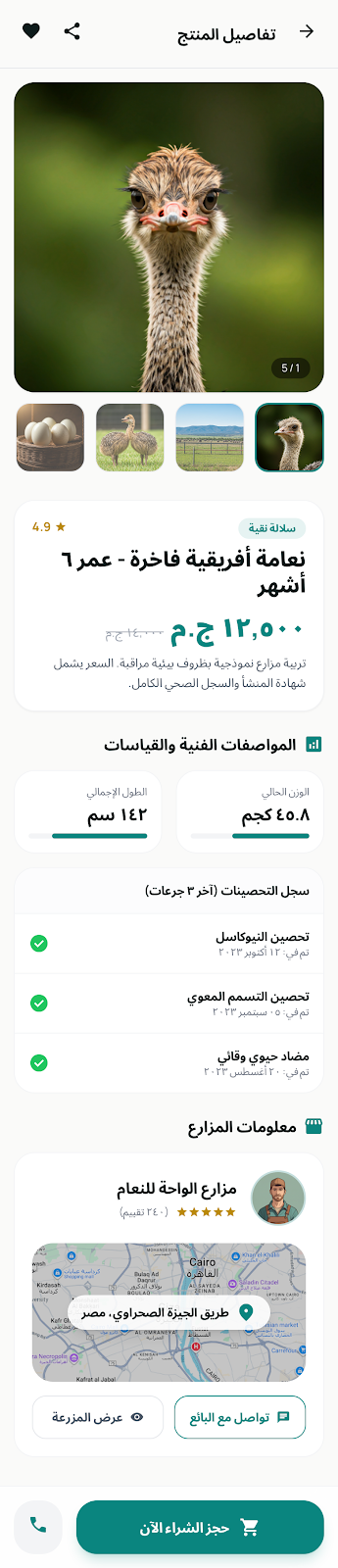 تفاصيل النعامة - نسخة الويب (سطح المكتب)